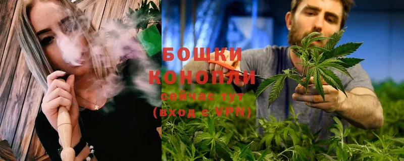 сколько стоит  Обнинск  KRAKEN вход  Бошки Шишки OG Kush 